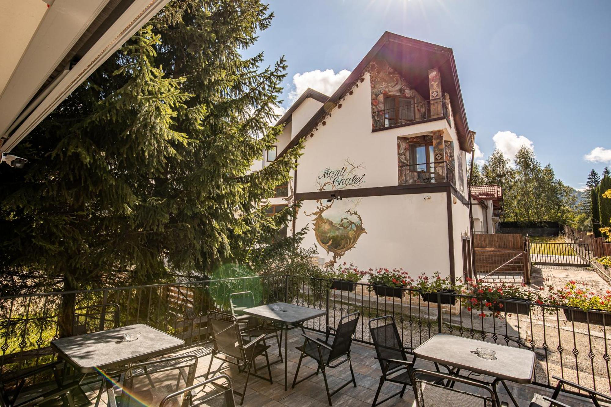 Artemis Villa Пояна-Брашов Экстерьер фото